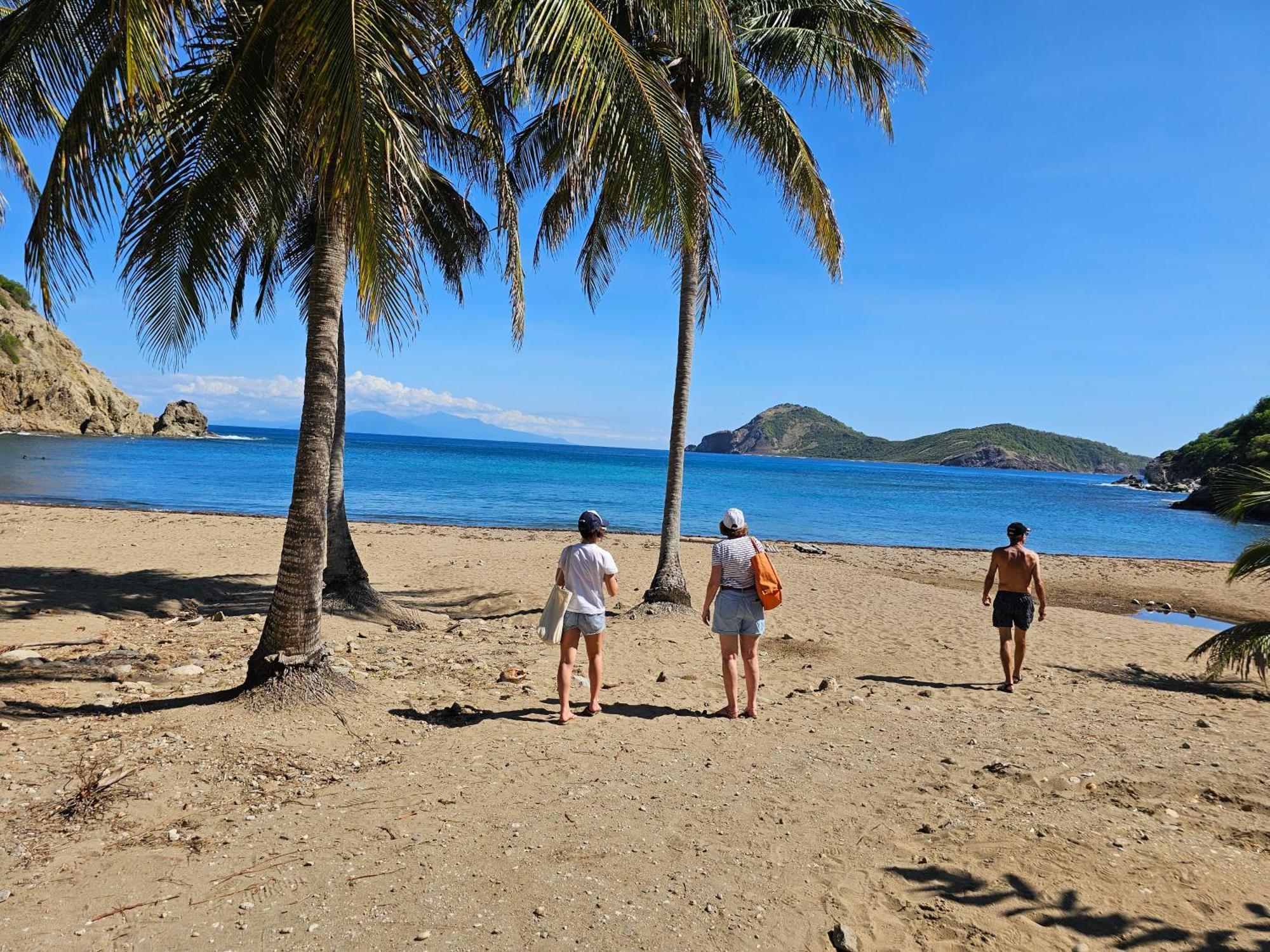 Villa Celyote - Haut De Villa, Vue Mer, A 150M De La Plage Anse Figuier Terre-De-Haut ภายนอก รูปภาพ